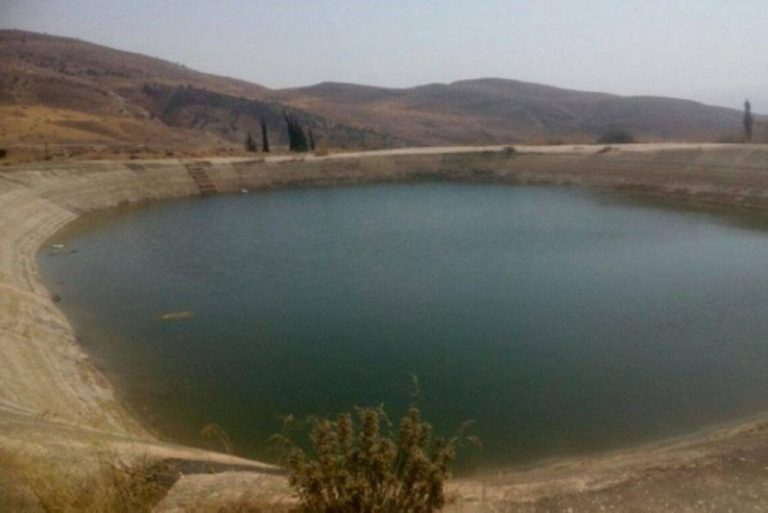 جثة قرب بركة في الخردلي