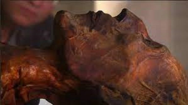 توت عنخ آمون