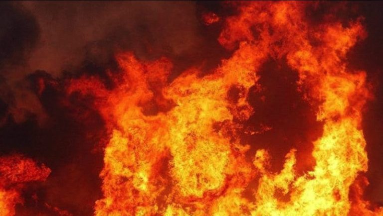 حريق في حقل حبوب في السكسكية.. والأهالي يناشدون