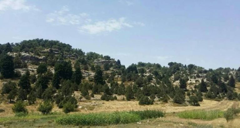 بعد العثور على جثة في القموعة.. أهالي فنيدق: لكشف الجناة