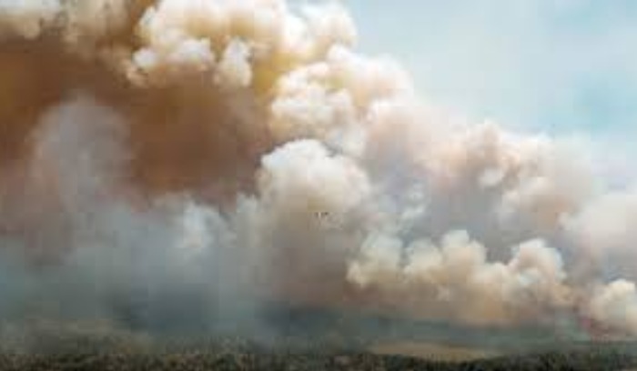 بالفيديو.. حرائق كندا تمتد إلى كيبيك