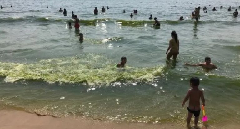 بحر صيدا ملوث