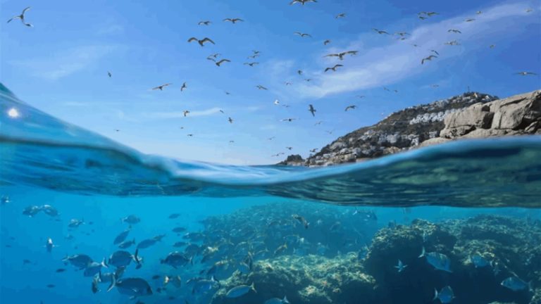 أيار الشهر الأكثر سخونة للمحيطات على الإطلاق!