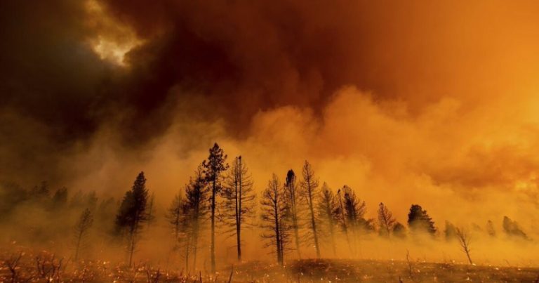 414 حريقاً.. لماذا تتكرر وتتوسع حرائق الغابات في كندا؟