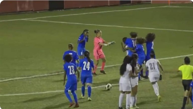بالفيديو.. “عنف نسائي” على أرض الملعب