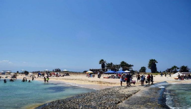 محمية جزر النخيل