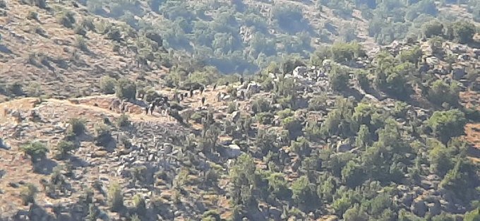 بالصورة.. منشورات في شبعا “أنتم من عليه أن يقلق”