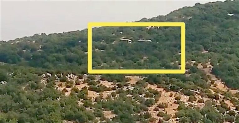 الإحتلال الإسرائيلي يسرق 500 رأس ماعز من حلتا