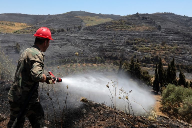 بالفيديو والصور ـ حرائق غابات في ألمانيا