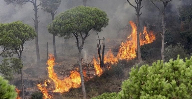 تحذير… “موسم الحرائق” بدأ ومستمرّ!