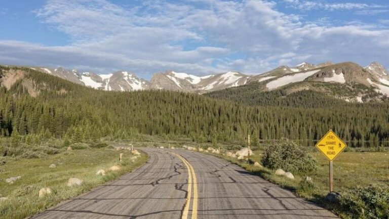 قرّروا العيش في الغابة… فعُثر على جثثهم!