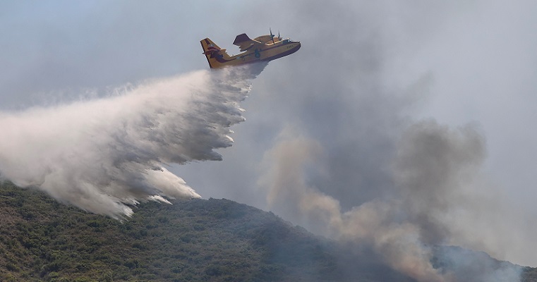 بالفيديو.. تحطم طائرة إطفاء فوق غابات اليونان