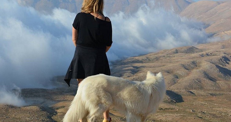 الخلاف التاريخي على ملكيّة “القرنة”