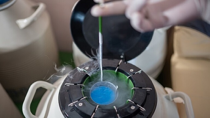 مقتل 24 شخصاً في تسرّب غاز