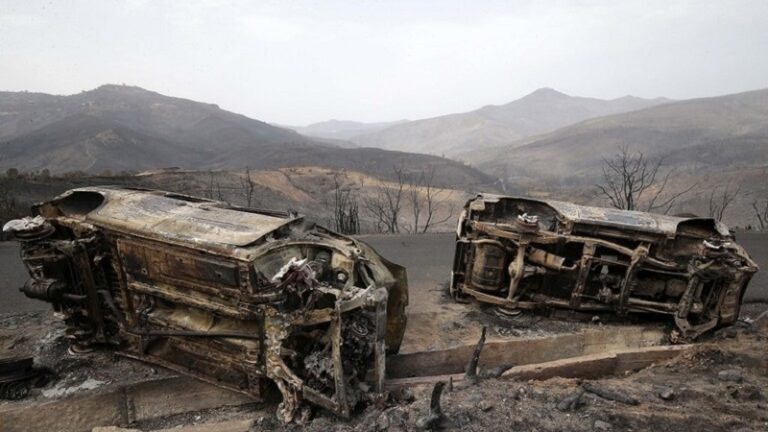 توقيف 12 مشتبه بهم بعد اندلاع الحرائق في الجزائر