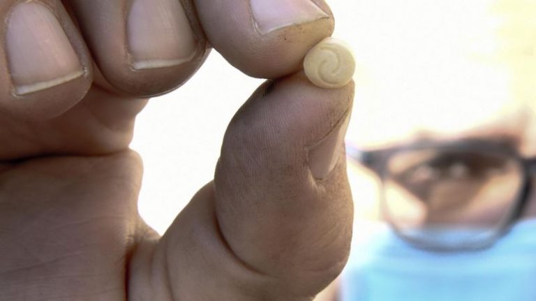 الكابتاغون