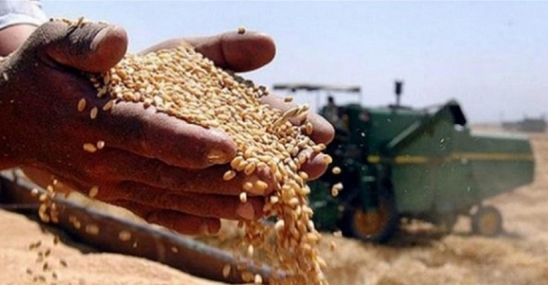 لا أزمة قمح بلبنان.. وباخرة جديدة تصل الأسبوع المقبل