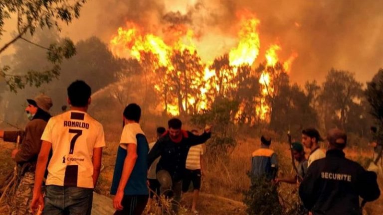 جرحى وقتلى بحرائق غابات في الجزائر