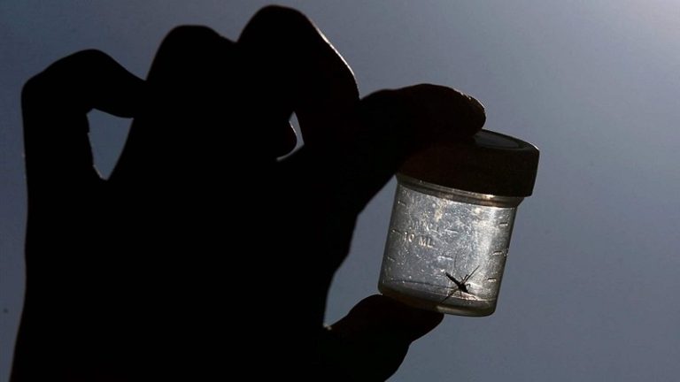 انتشار بعوض “النمر” في كرواتيا