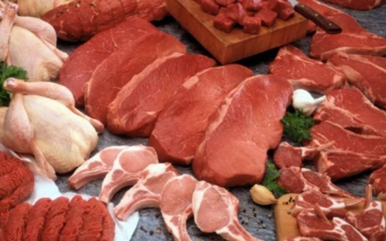 محضر ضبط بحق صاحب ملحمة في الجنوب