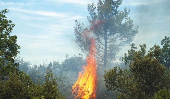 موجة الحر تبدأ اليوم.. وتحذيرات من خطر الحرائق