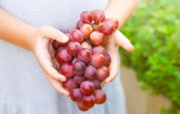 عناصر غذائية تزيد مستويات السكر في الدم