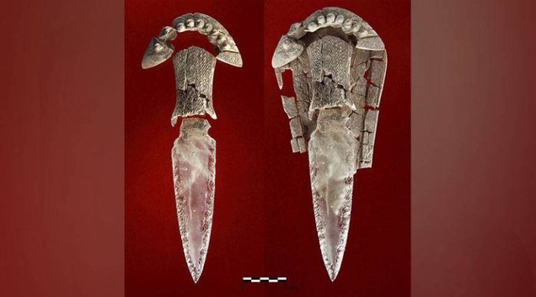 “امرأة” قوية.. في مقبرة “رجل العاج”!