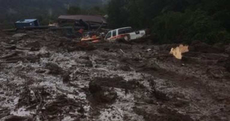 بالفيديو: انهيار 9 مبانٍ شاهقة في الهند