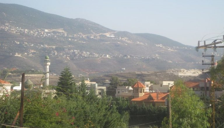 إشكال بالسكاكين في الجنوب.. وسقوط جرحى