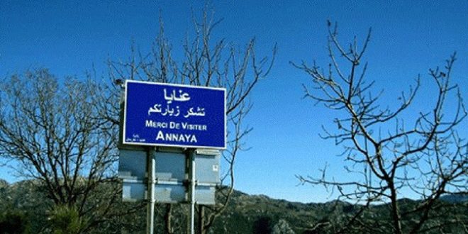 مجزرة بيئية في عنايا!