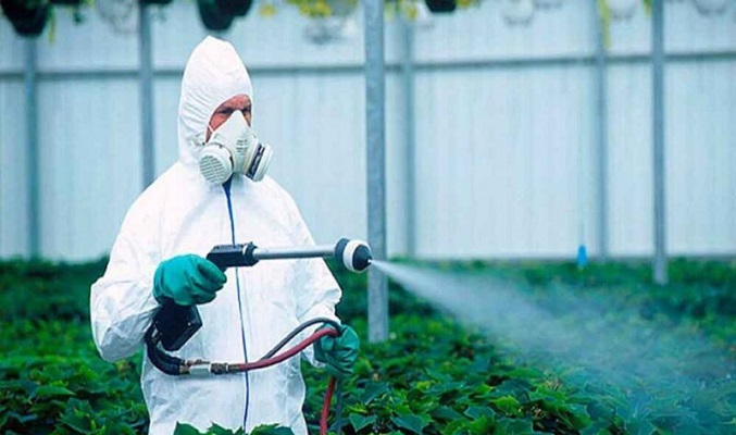 هل الأدوية الزراعية خطيرة؟