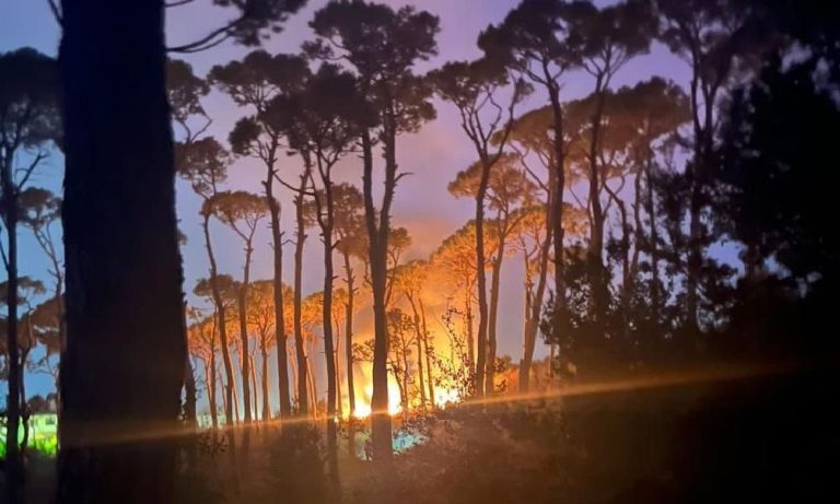 الجيش ينعى شهيدي حادث تحطم الطوافة العسكرية