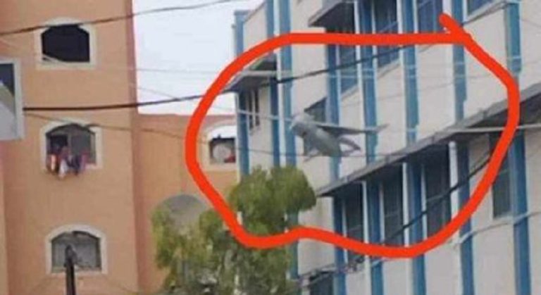 المقاومة تسيطر على مسيّرة “إسرائيلية” في غزة