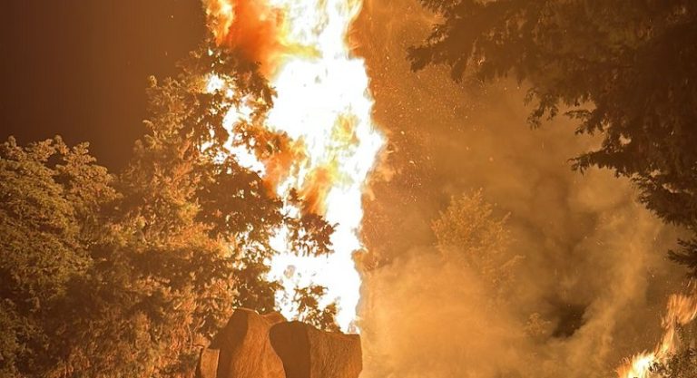 بالفيديو.. حريق في إهدن