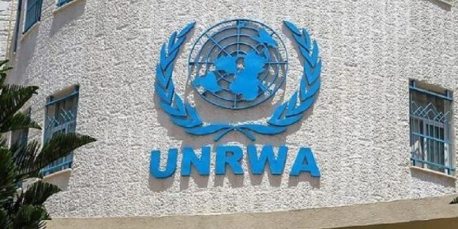 “الأونروا”: مسلحون يحتلون مدارس في مخيم عين الحلوة!