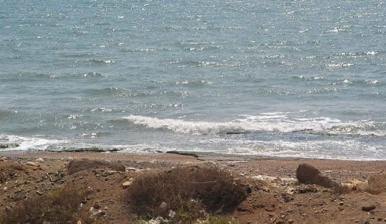 بالصورة.. حوت نافق على احد الشواطئ اللبنانية