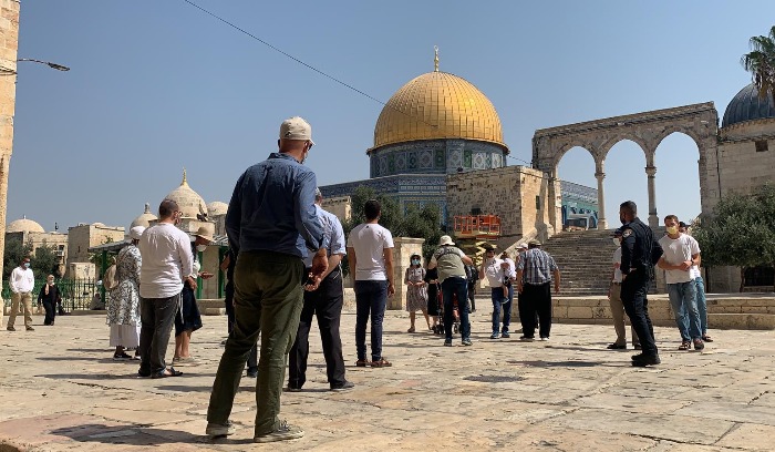 بالفيديو.. عشرات المستوطنين يقتحمون المسجد الأقصى