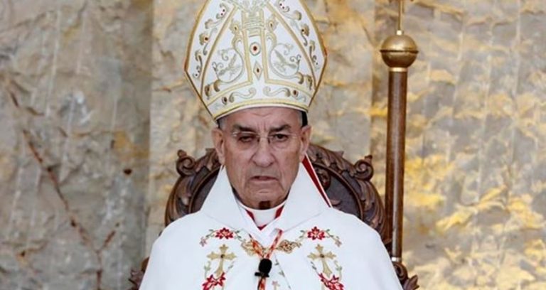 الراعي: لا يمكن العيش على أرض واحدة فيها أكثر من جيش