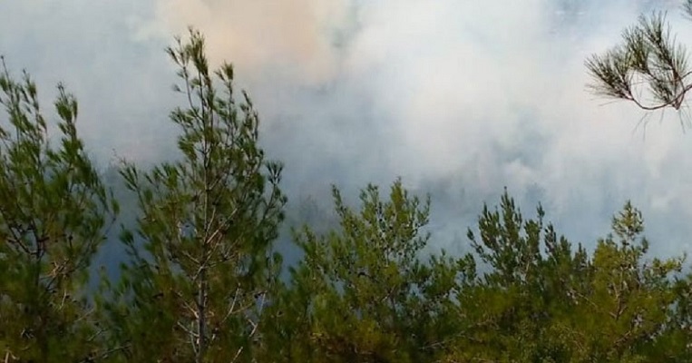 بالصورة.. حرائق تهدد هذه المناطق