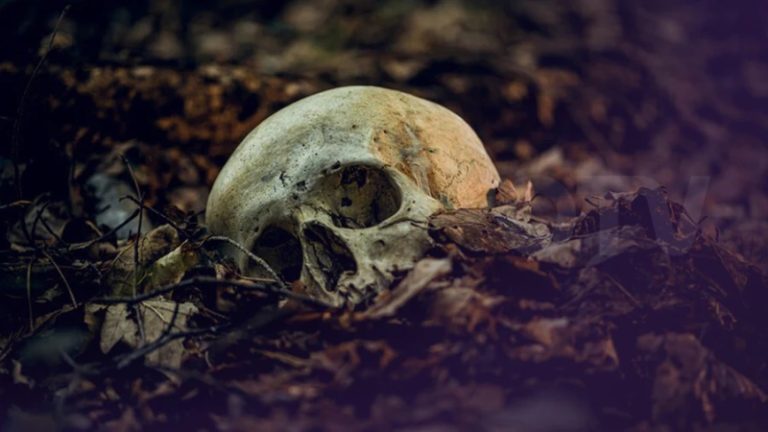 حضارة يابانية قديمة شوهت جماجم أطفالها عمداً!