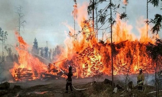 كارثة “جحيم هاواي”: دعوى قضائية ضد المتسبب