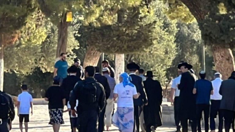 بالفيديو.. مستوطنون يقتحمون المسجد الأقصى