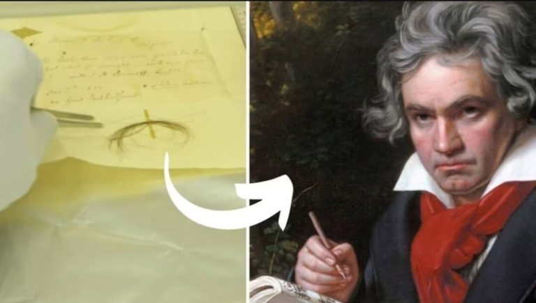 بعد أكثر من 200 عام على رحيله.. ما حقيقة خصلة شعر بيتهوفن؟