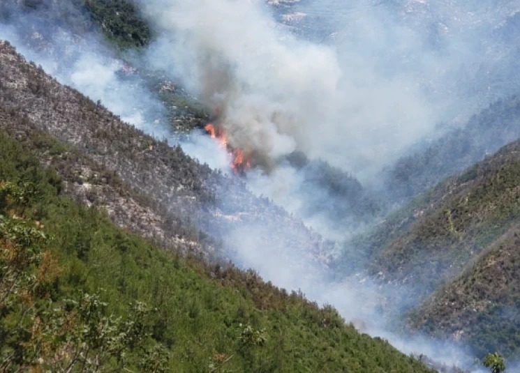 تحذير من إندلاع حرائق نهاية الإسبوع!
