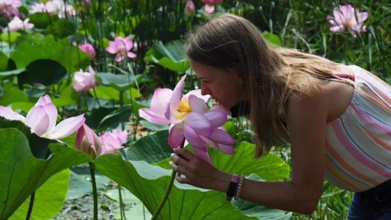 إستنشاق روائح بعض العطور أثناء النوم يعزز الإداء المعرفي!