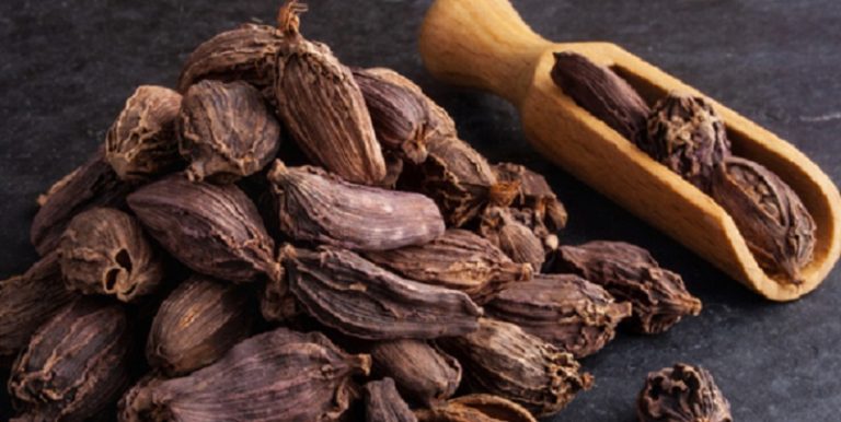 “الهيل”.. “حارق خارق”!