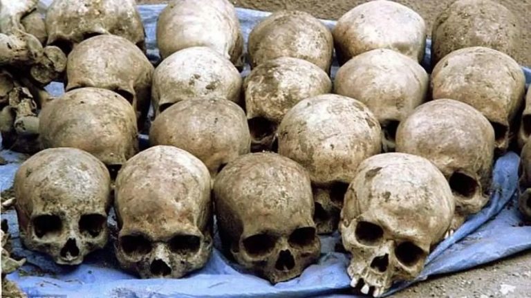 ألمانيا تكتشف “معجزة صغيرة”!