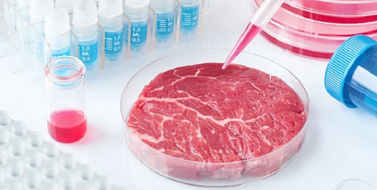 “اللحوم المزروعة” حلال!