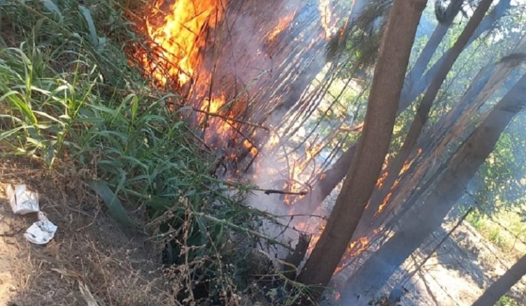 حريق في دير عمار ـ المنية