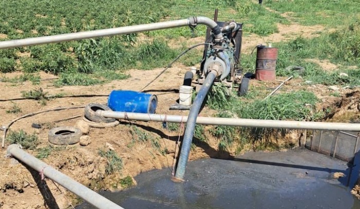 كشف حقل مزروعات في تعنايل يروي بمياه مبتذلة